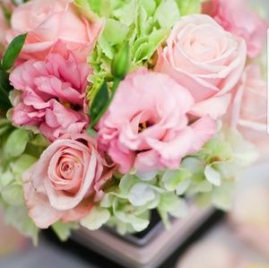 Meet your Posher, Tai